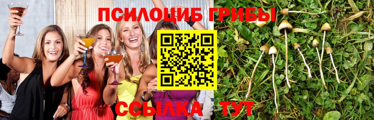 Белореченск  наркошоп  Вход с VPN  Псилоцибиновые грибы MAGIC MUSHROOMS 